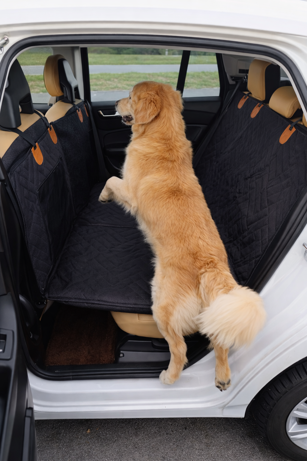 Petloria™ Hard Bottom Dog Car Seat Cover